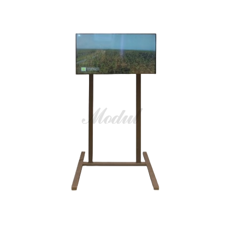 LED TV (43")